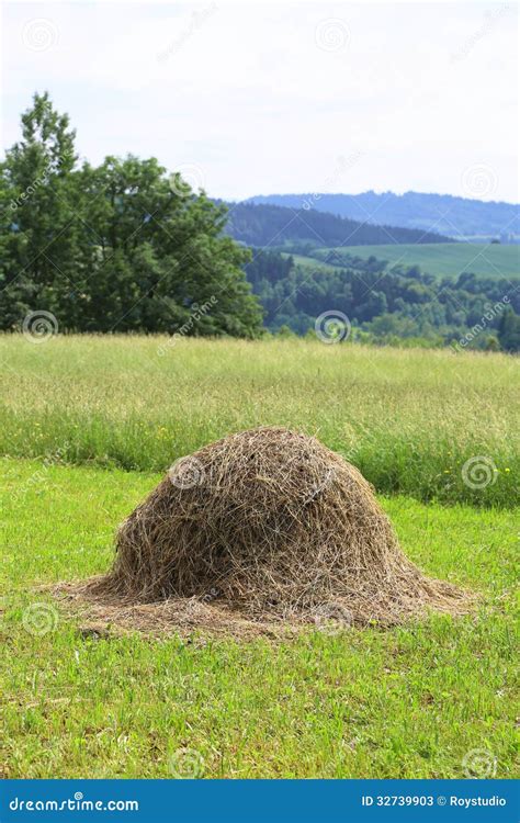 Haystack On The Grass Field And Rural Landscape Stock Image Image Of Food Nature 32739903