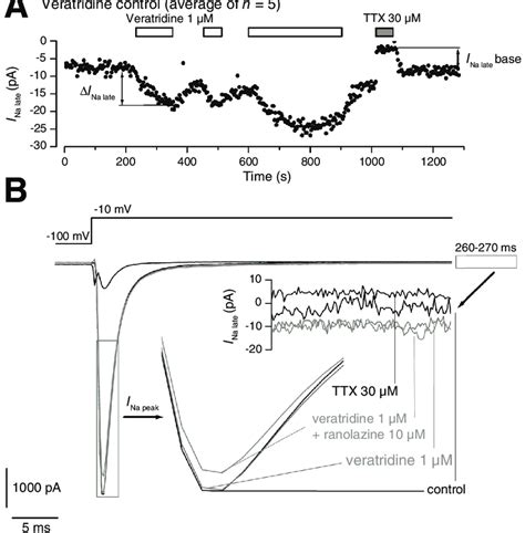 Activation By Veratridine Of The Late Na Current In Nav15 Expressing