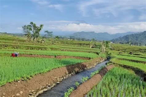 Kecamatan Tersempit Di Purbalingga Ternyata Nomor Luasnya Hanya