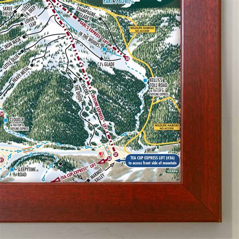 Vail Ski Resort | Trail Map Poster. Unframed, Framed, or Canvas Print – Mtns Co