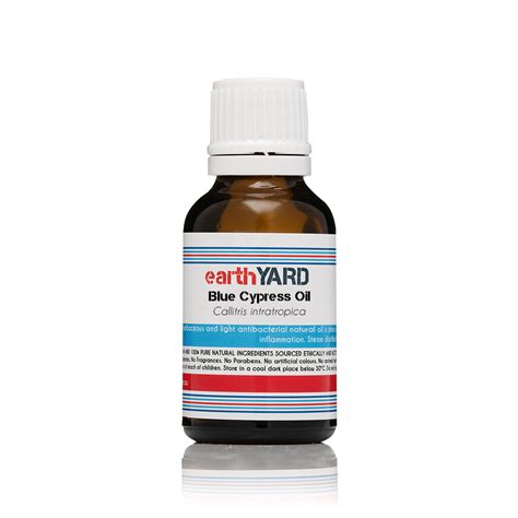 Blue Cypress Oil From Australia Earthyard