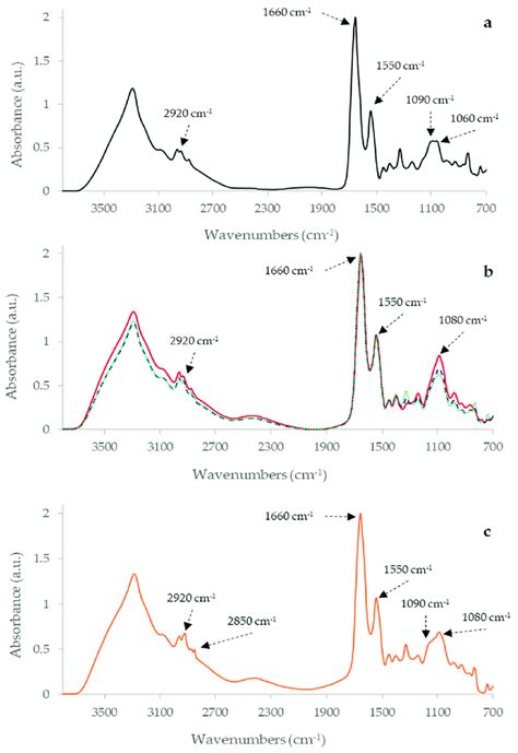 Separate Fourier Transform InfraRed FTIR Spectra Of Avian Bovine And