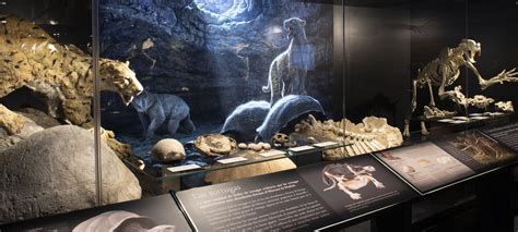 Museo Arqueol Gico Y Paleontol Gico De La Comunidad De Madrid Alcal De