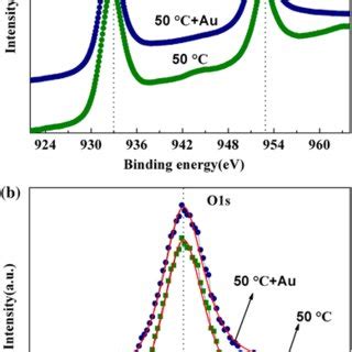 The AFM images of Cu2O thin films: a, e 25 °C, b, f 25 °C/Au, c, g ...