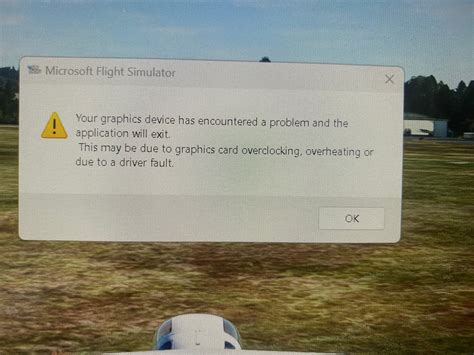 Warning Your Graphics Device Has Encountered A Problem By