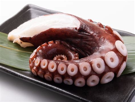 Octopus Sushi