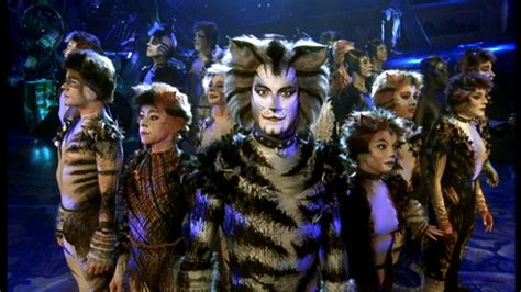 Cats What Is The Jellicle Ball Great Performances Pbs