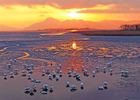 Eulsukdo Island A Fusion Of Nature And Culture Breeze In Busan