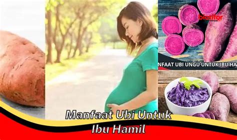 Temukan Manfaat Ubi Untuk Ibu Hamil Yang Jarang Diketahui Biotifor