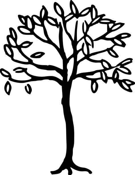 Simple Line Drawing Tree At Getdrawings Free Download