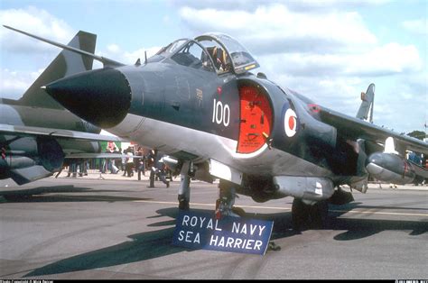 British Aerospace Sea Harrier FRS1 - UK - Navy | Aviation Photo ...