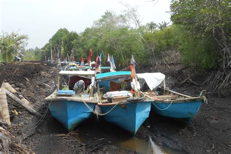 Mencari Solusi Selamatkan Pulau Bengkalis Dari Abrasi Mongabay Co Id