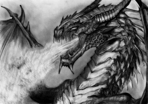 Fire Breathing Dragon Drawing By Louis Wood Saatchi Art