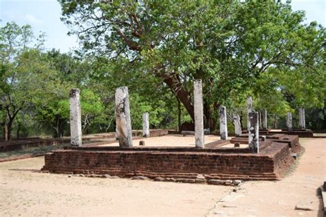 Free Images Tree Rock Wood Statue Buddhism Castle Historic