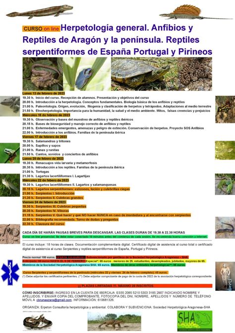 Curso De Herpetolog A Aragonesa E Ib Rica Febrero Asociaci N