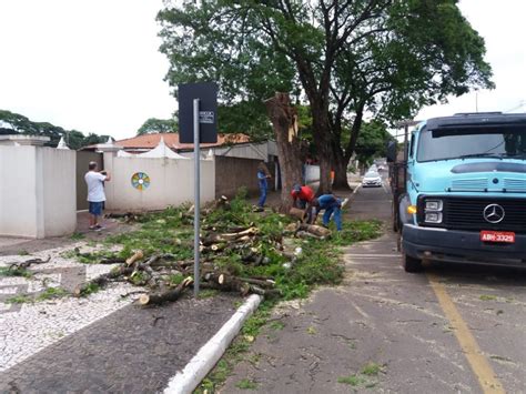 Vento Causa Queda De Rvores E Destelhamentos Em Paranava