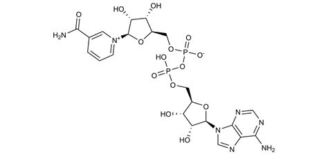 Nad Structure