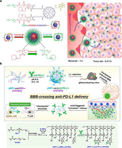 Figure 5 From Smart Design Of Nanostructures For Boosting Tumor