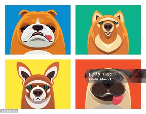 385 Cartoon Pug Stock Photos High Res Pictures And Images Getty Images