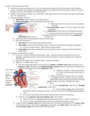 Study Guide Chapter Cardiovascular System Study Guide Nam