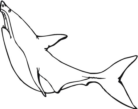 Shark Outline - ClipArt Best