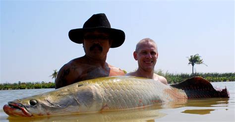 Arapaima Information River Monsters Thailand