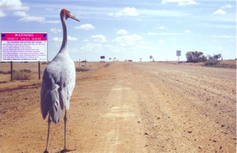 About the Birdsville Track - Birdsville Track Audio Tour