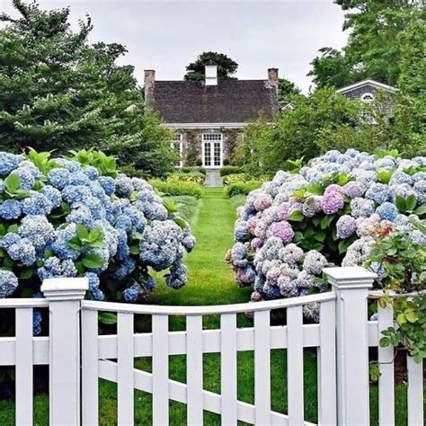 20 White Picket Fence Landscaping Ideas And Designs