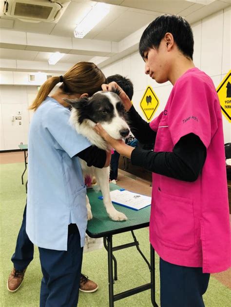 キャンパスライフ紹介 【動物看護師専攻 竹内さん】／名古屋eco動物海洋専門学校【スタディサプリ 進路】