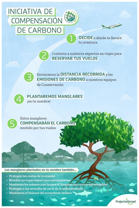 Compensaci N De Huella De Carbono Projects Abroad