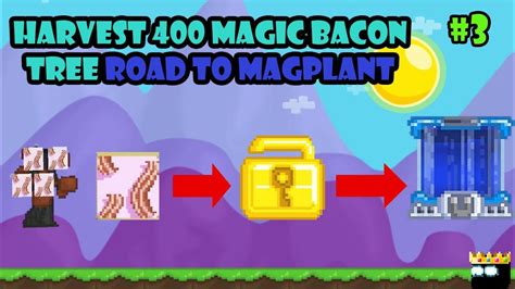 Growtopia Harvest 400 Magic Bacon Tree Road To Magplant 3 YouTube