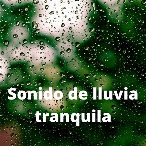 Sonido De Lluvia Tranquila Album By Sound Rain Spotify