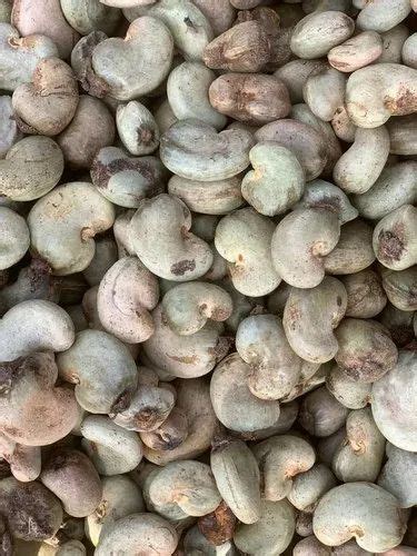 Agro International Common Raw Cashew Nuts With Shell Packaging Type