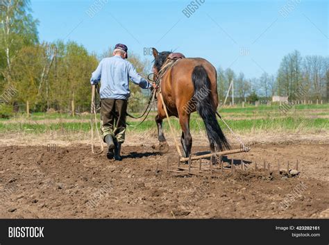 Man Farmer Horse Image And Photo Free Trial Bigstock