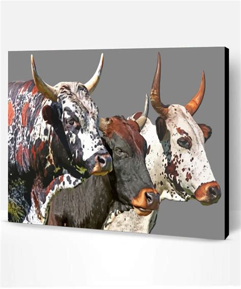 Nguni Cattle Paint By Numbers Paint By Numbers Pro