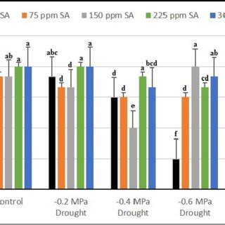 Effects Of Drought And Salicylic Acid Treatments On Total Seed