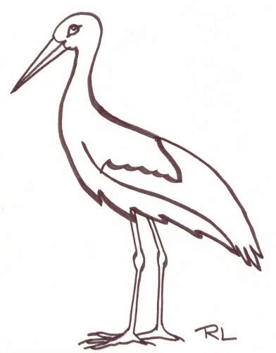 Coloriage De Cigogne