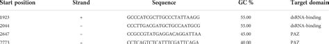 Frontiers Analysis Of Luciferase Dsrna Production During Baculovirus