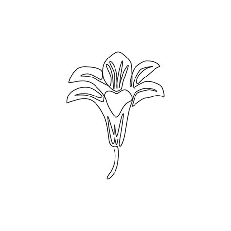 Premium Vector One Continuous Line Drawing Of Beautiful Perennials