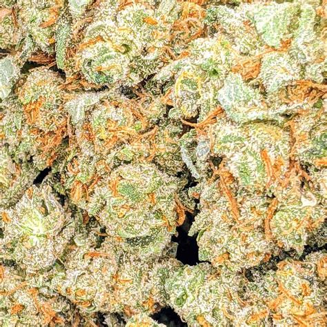 Tangerine Budget Buds Buy Weed Online Online Dispensary