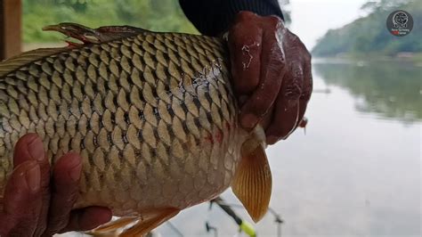 Mancing Cirata Terbaru H Iduladha Palalangon Panjaringan Youtube