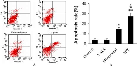 A Apoptosis And Necrosis Rates Of Umr Cells For The Control Cells