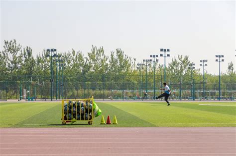 学习锻炼两不误——北洋园校区户外体育课进行时 天津大学新闻网