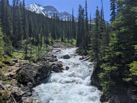 Hiking The Iceline Trail Yoho National Park Complete Guide