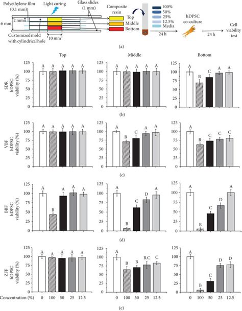 Schematic Of The Cytotoxicity Test Procedure With Different Depths Of