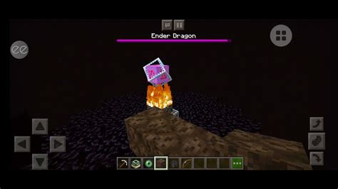 Ender Dragon Vs Wither ☆☆ Youtube