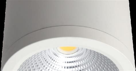 Rexel Lighting W Surface Mount Led Downlight