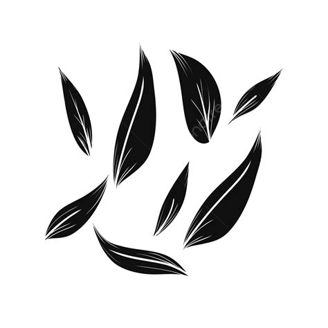 Leaf Black And White Png Transparent Images