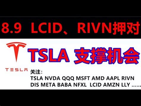 Tsla Lcid Rivn Amzn Tsla Nvda Msft Amd Aapl Rivn Dis Meta