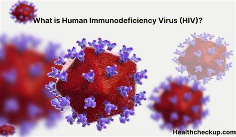 What Is Human Immunodeficiency Virus Hiv